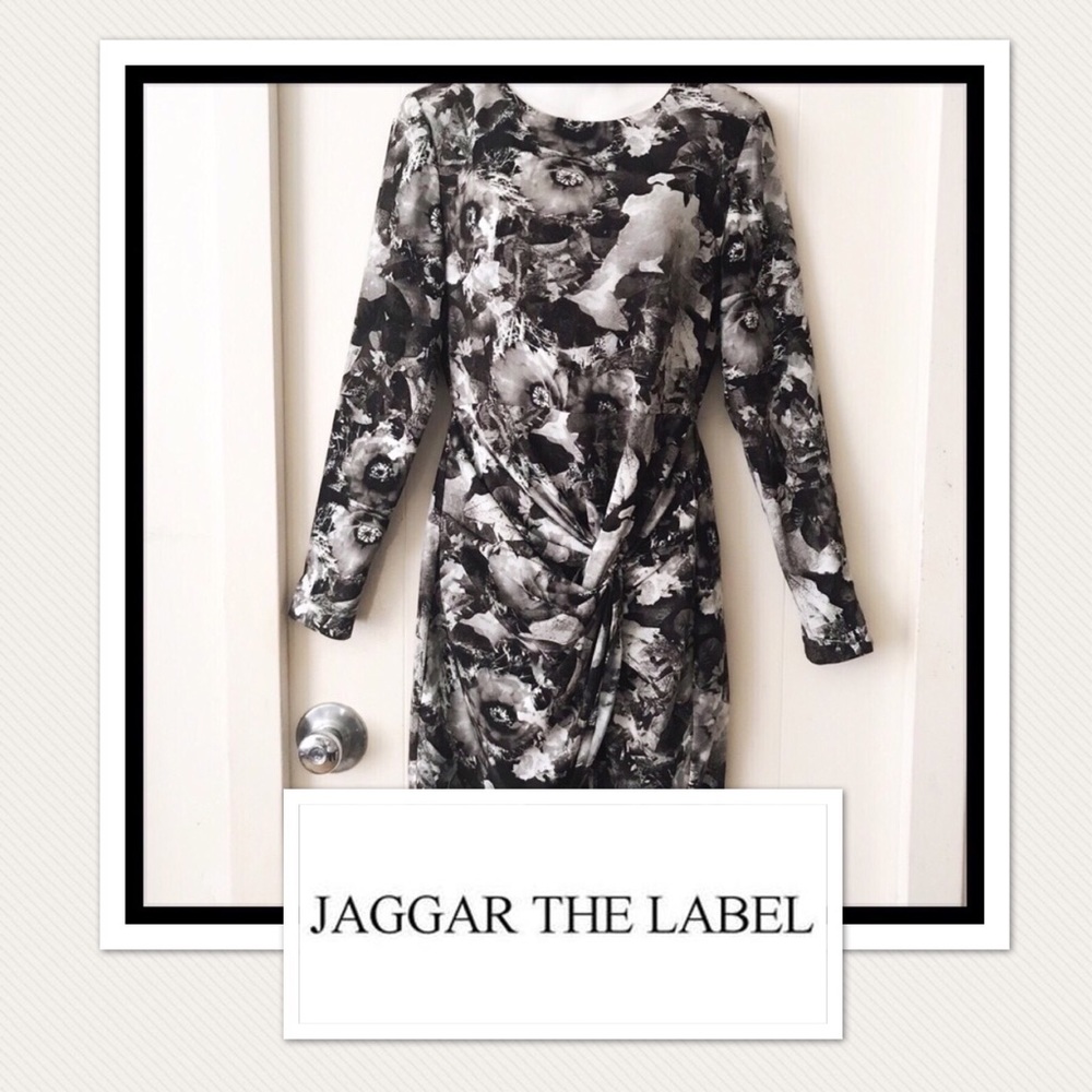 NWT. Jaggar the Label Assymetrical Dress